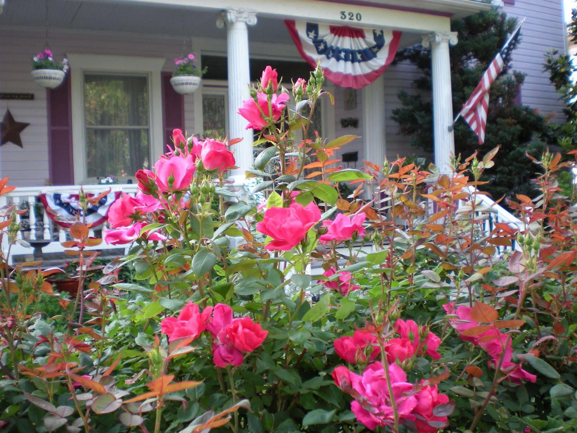 Belle Hearth Bed And Breakfast Waynesboro Dış mekan fotoğraf